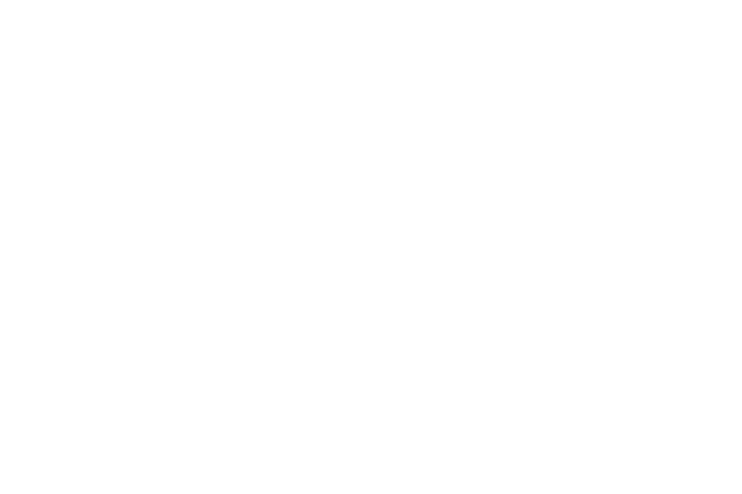 SROI Specialist
